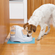 PetSafe Drinkwell Pet Fountain, $35